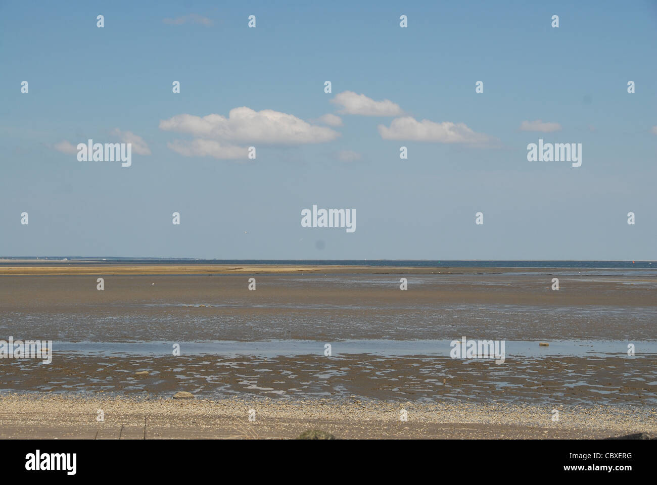 Das UNESCO-Welterbe wattenmeer bei Ebbe in Büsum, einem Badeort in Dithmarschen, Schleswig-Holstein Stockfoto