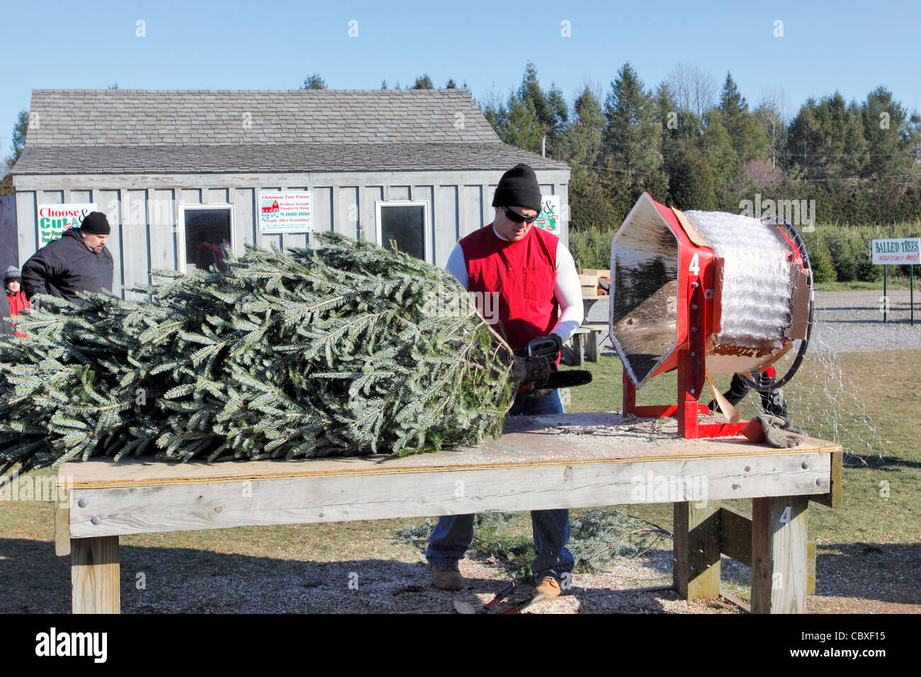 Weihnachtsbaumverpackungsmaschine Fotos und Bildmaterial in hoher