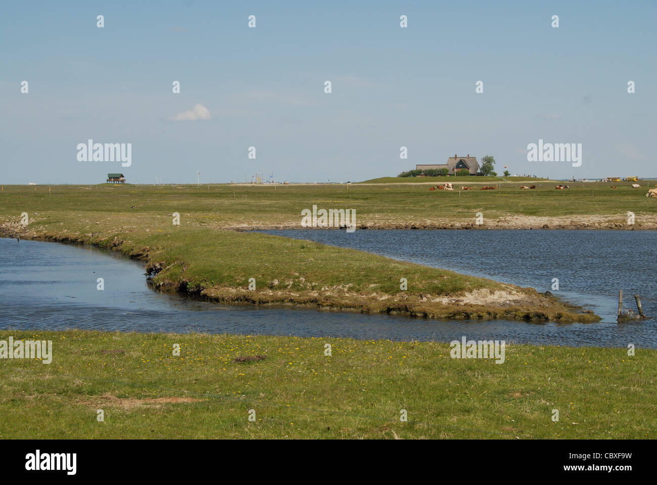 Auf Hallig Hooge, einer kleinen Insel in der Wadden Meer von Nordfriesland, sind alle Häuser auf künstlichen irdenen Grabhügel genannt Warft errichtet. Stockfoto