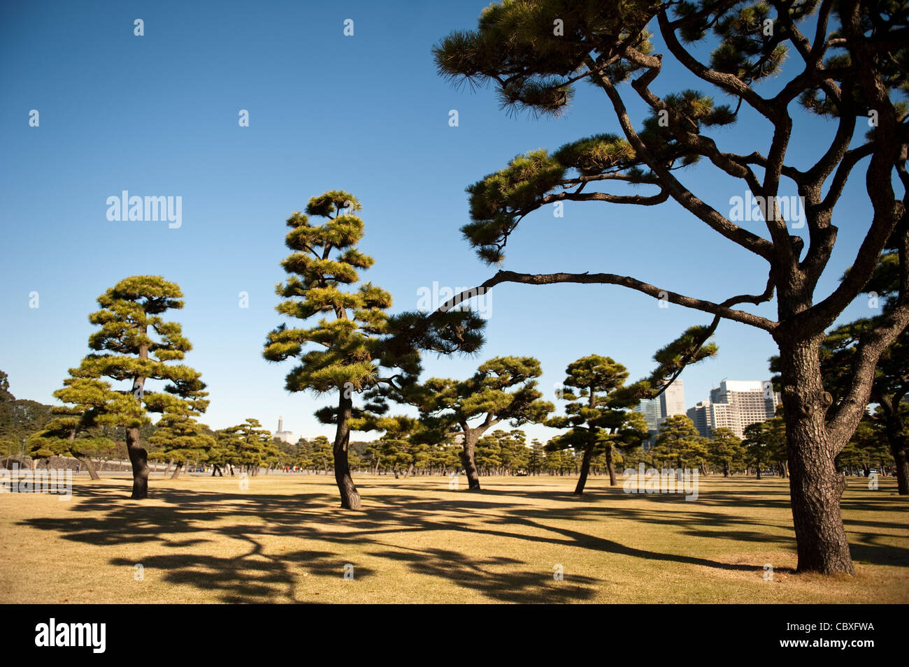Das Imperial Palace Gardens in der großen Plaza des Imperial Hotel, Tokio, Japan Stockfoto