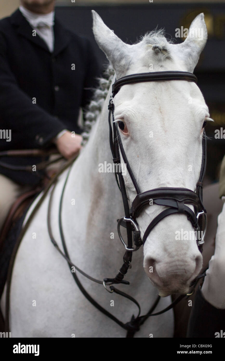 Die Heythrop Hunt am Boxing Day treffen in Chipping Norton Stockfoto