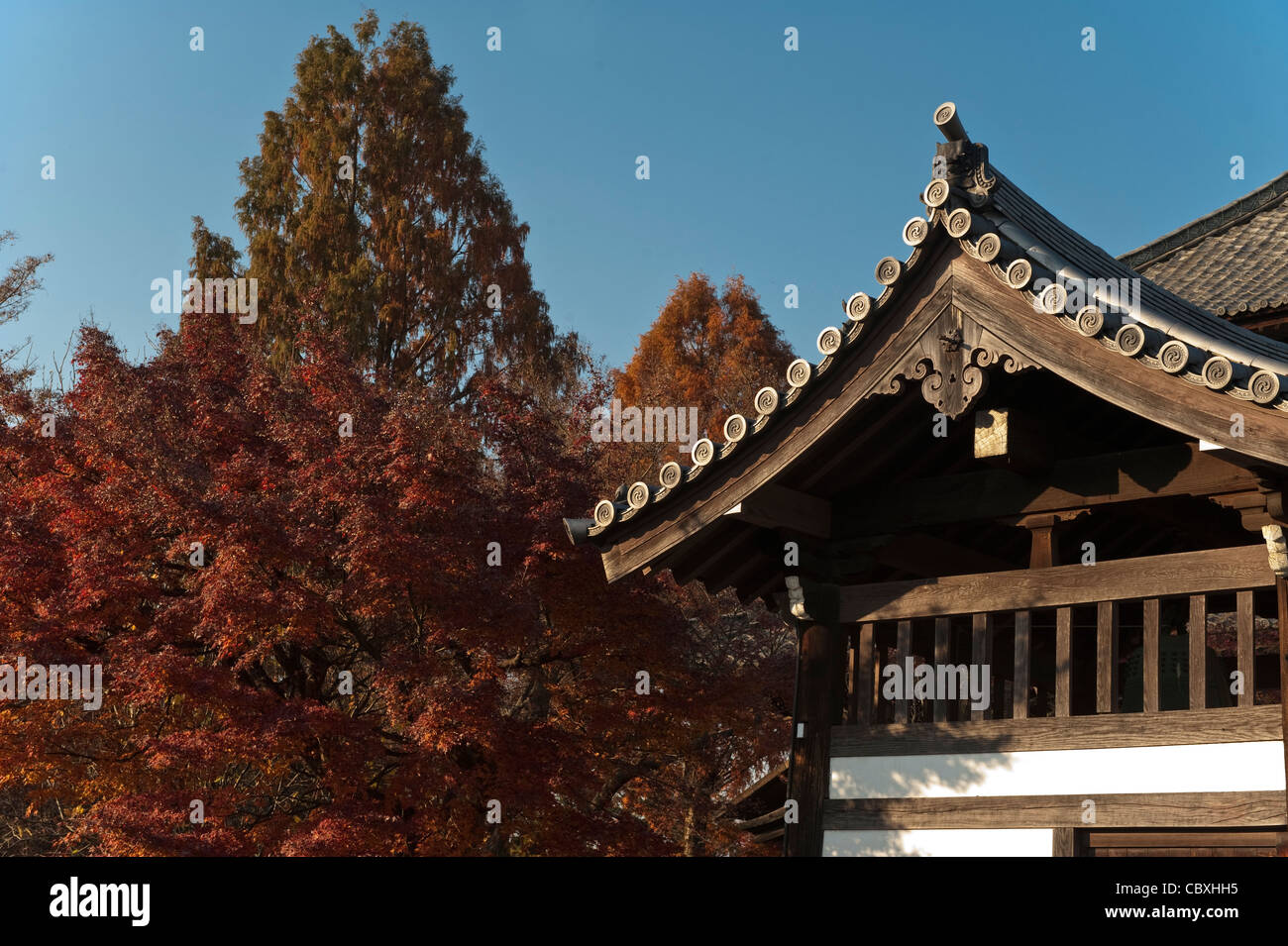 Tofukuji (東福寺, Tōfukuji) ist ein großer Zen-Tempel im südöstlichen Kyoto, das berühmt ist für seine spektakulären Herbstfärbung. Stockfoto