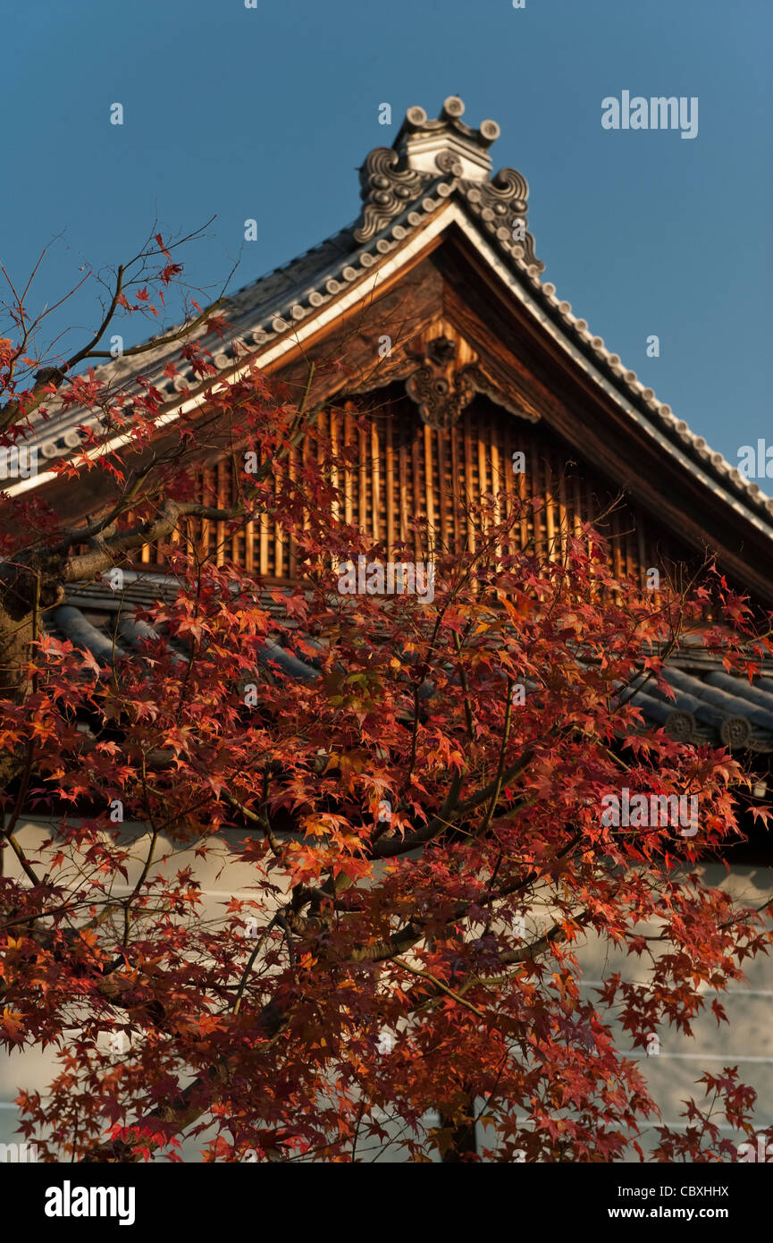 (東福寺 tofukuji, tōfukuji) ist eine große Zen Tempel in Kyoto, berühmt für seine spektakulären Farben des Herbstes. Stockfoto