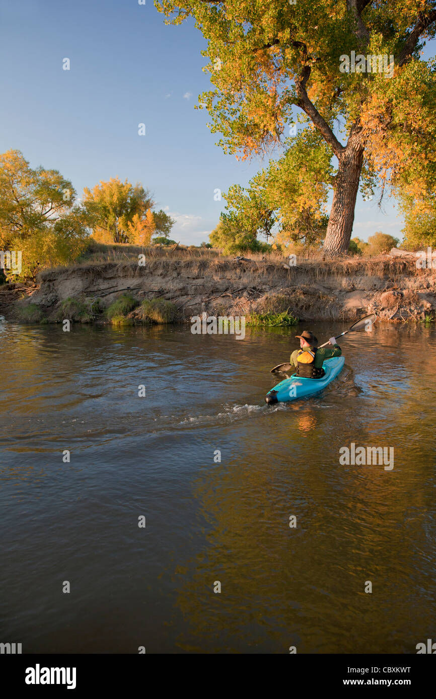 Kajakfahrer (Fünfundfünfzig Jahre alt, männlich) paddeln, ein blau, Kunststoff, Wildwasser-Kajak an einem kleinen Fluss in Herbstlandschaft Stockfoto