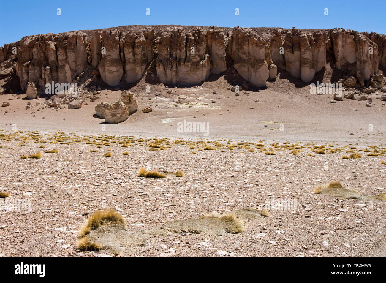 Chile. Atacama-Wüste. Flamingos Nationalreservat. Die Kathedralen in der Tara salar. Stockfoto