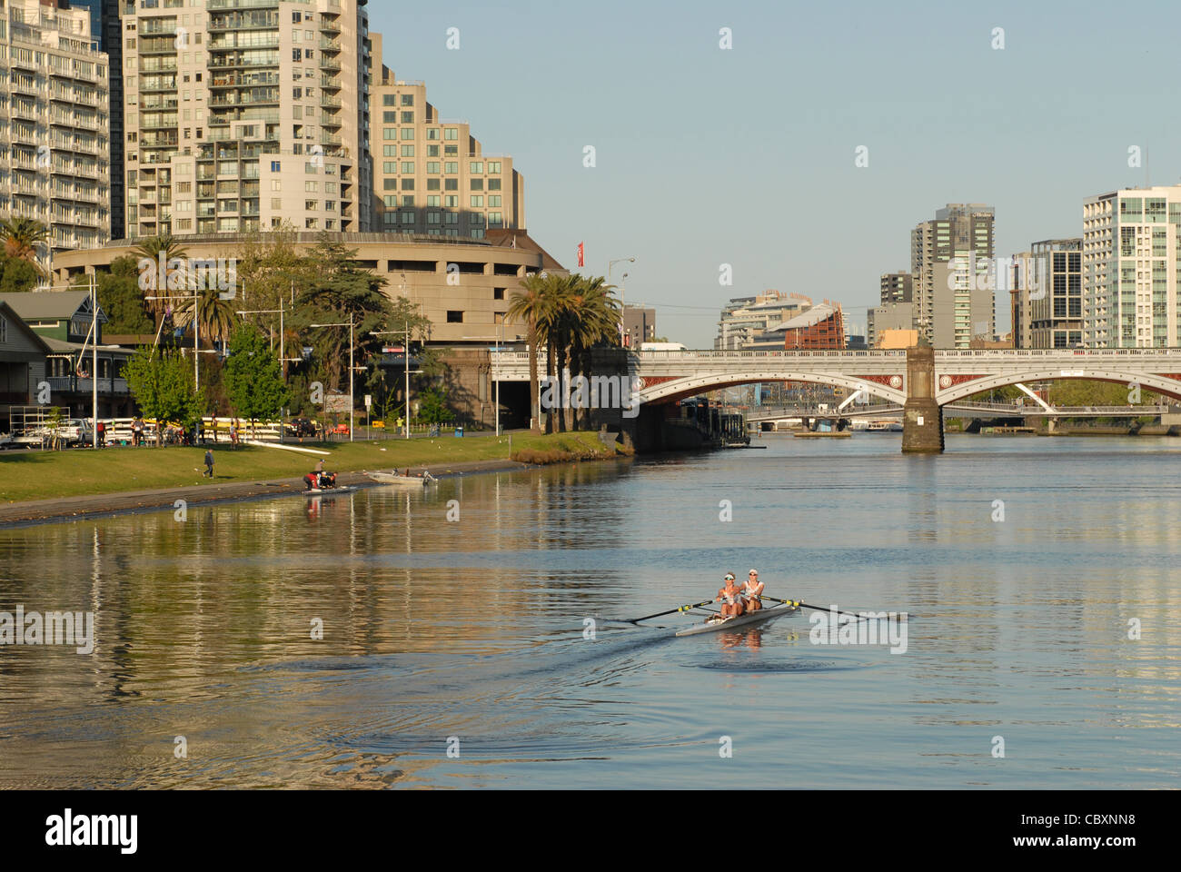 Am frühen Morgen Rudern auf dem Yarra River im Zentrum von Melbourne, mit Southbank (l.) und CBD (r.) in Melbourne, Victoria, Australia Stockfoto