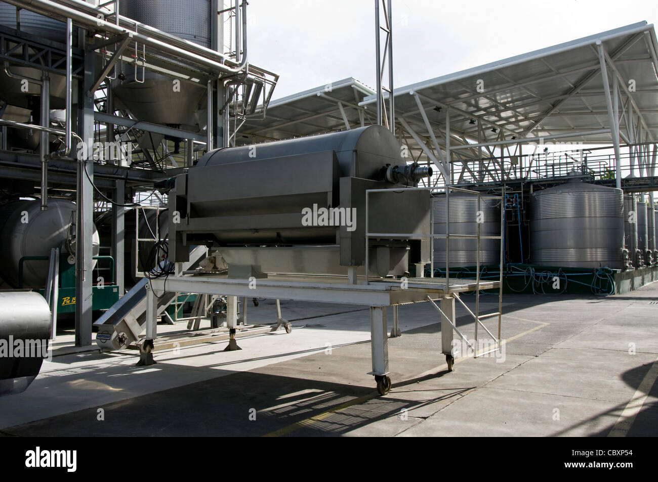 Chile. Torres Weingüter in Curicó. Maule Bezirk. Stockfoto