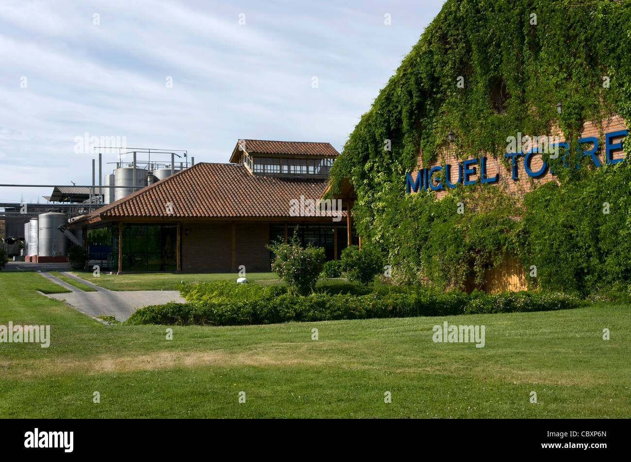 Chile. Torres Weingüter in Curicó. Maule Bezirk. Stockfoto