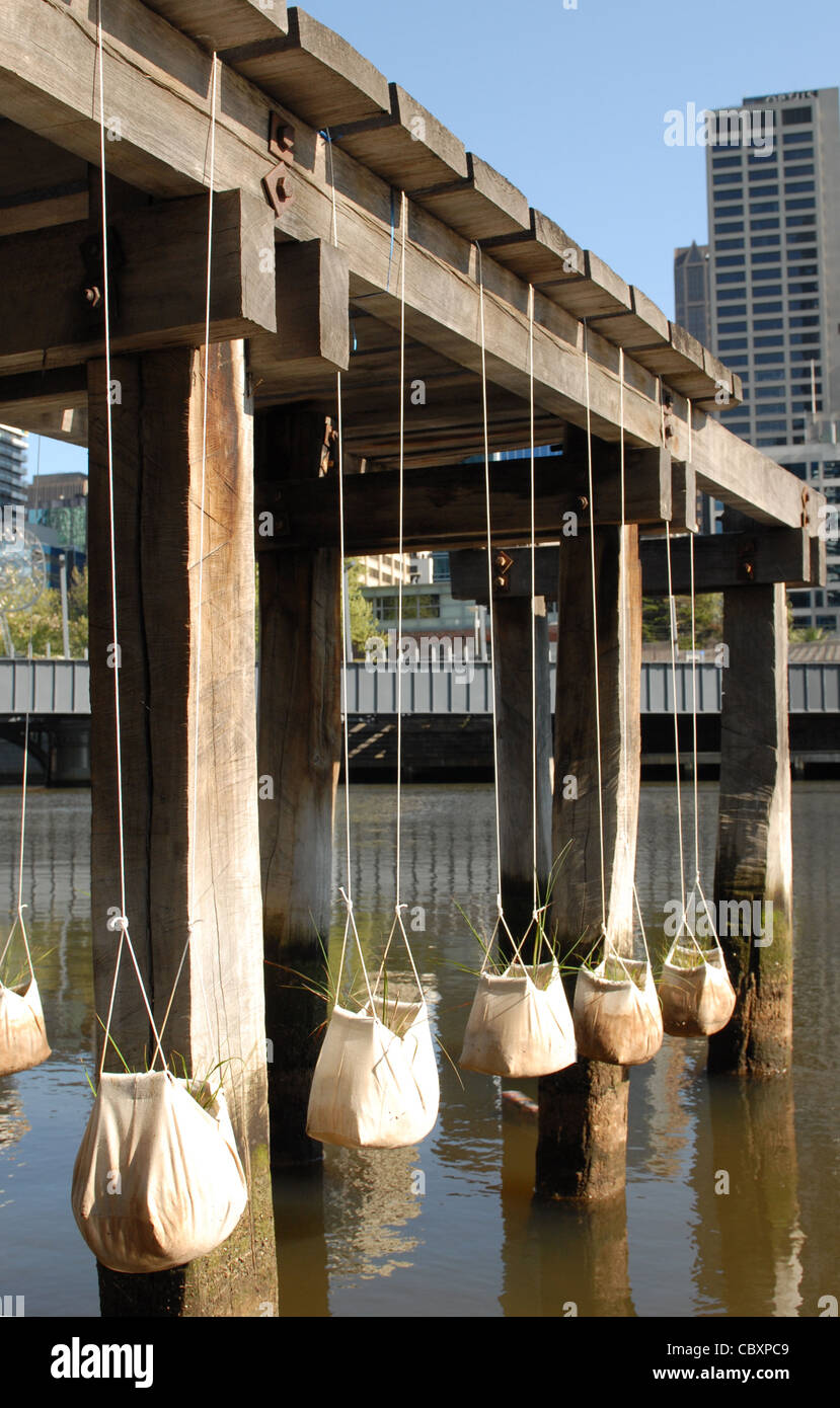 Hängender Garten machte der Pflanze Taschen hängen an einem Yarra Pier am Southbank im Zentrum von Melbourne, Victoria, Australien Stockfoto