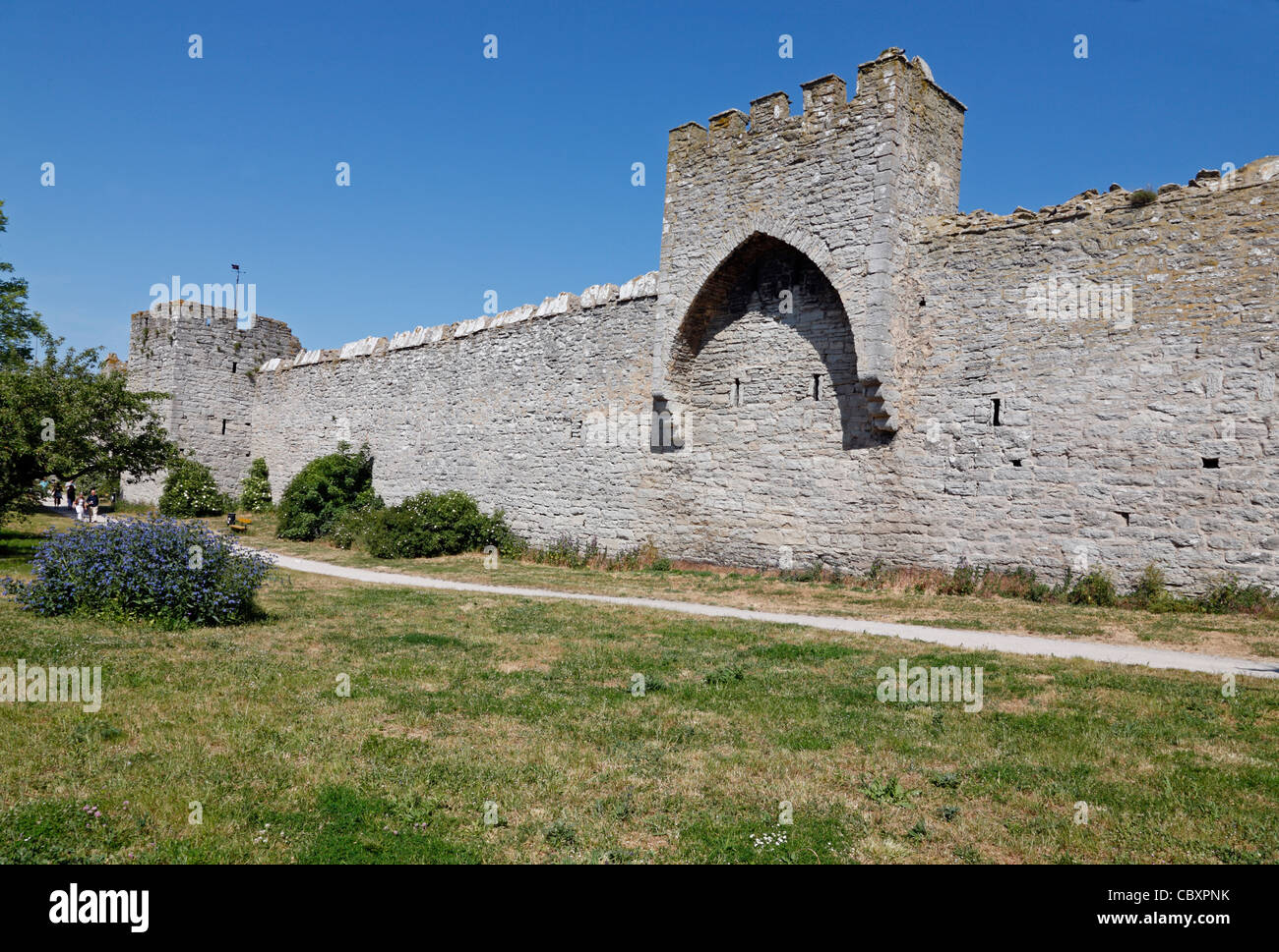 Die Stadtmauer, die mittelalterliche Stadtmauer mit Türmen, um die mittelalterliche Hansestadt Visby auf der schwedischen Insel Gotland in der Ostsee Stockfoto