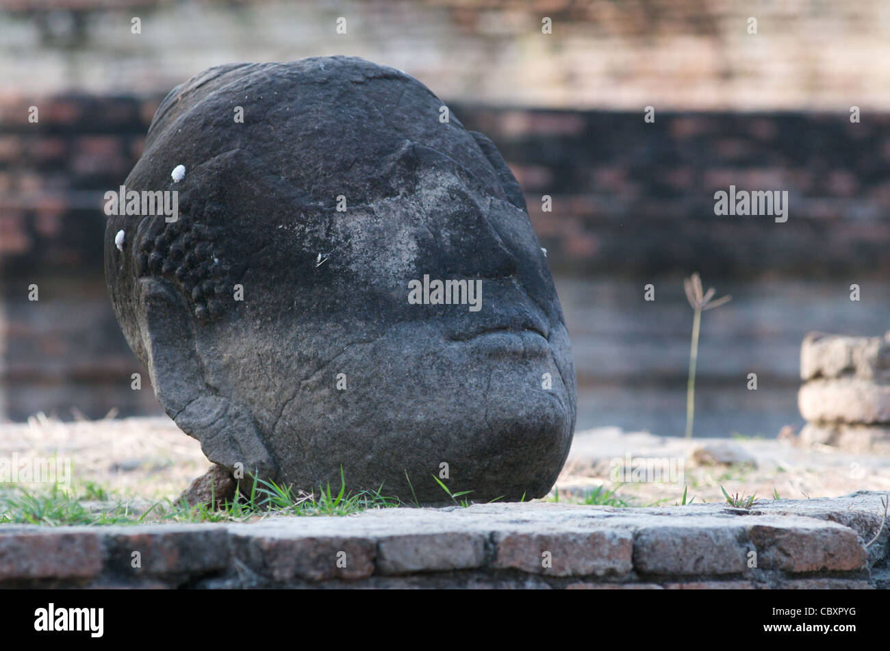 Wasser durch Überschwemmung auf Buddha Kopf, Wat Mahathat, Ayutthaya, Thailand. Credit: Kraig Lieb Stockfoto
