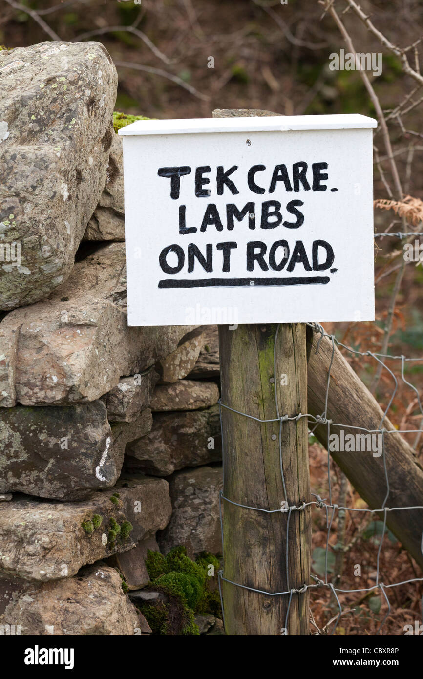 Tek Pflege Lämmer Ont Road - Warnzeichen bei Crummock Wasser, Cumbria im englischen Lake District Stockfoto