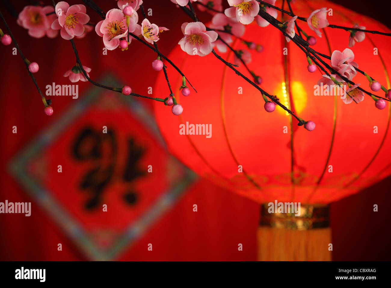 Chinesisches Neujahr Dekoration--traditionellen Laterne und Pflaumen blühen auf einem festlichen Hintergrund. Stockfoto