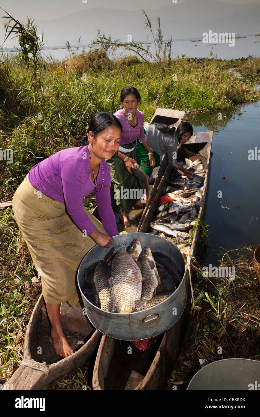 Indien, Manipur, Imphal, Loktak See, Sendra Insel Angeln Dorffrauen Übertragung ans Ufer zu fangen Stockfoto