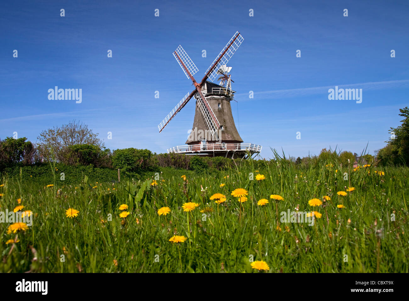 Windmühle in Oldsum auf der Insel Föhr, Friesland, Norddeutschland Stockfoto