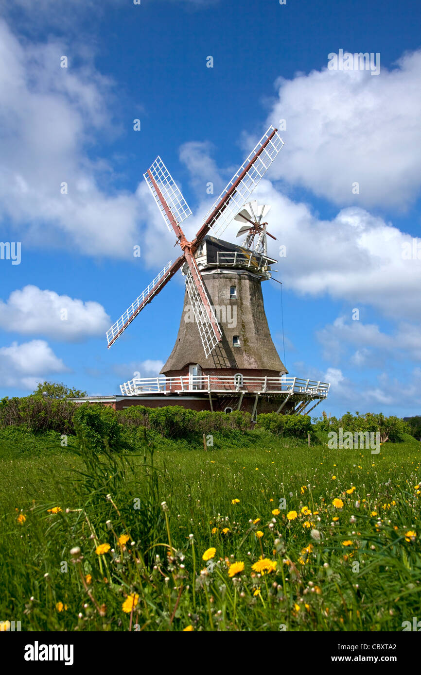 Windmühle in Oldsum auf der Insel Föhr, Friesland, Norddeutschland Stockfoto