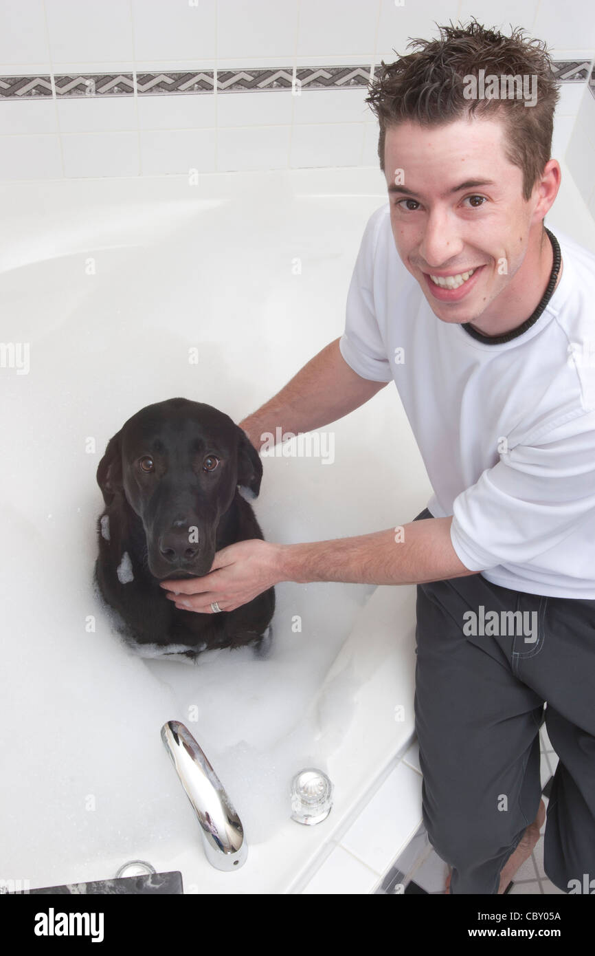 Mann Waschen Hund. Stockfoto