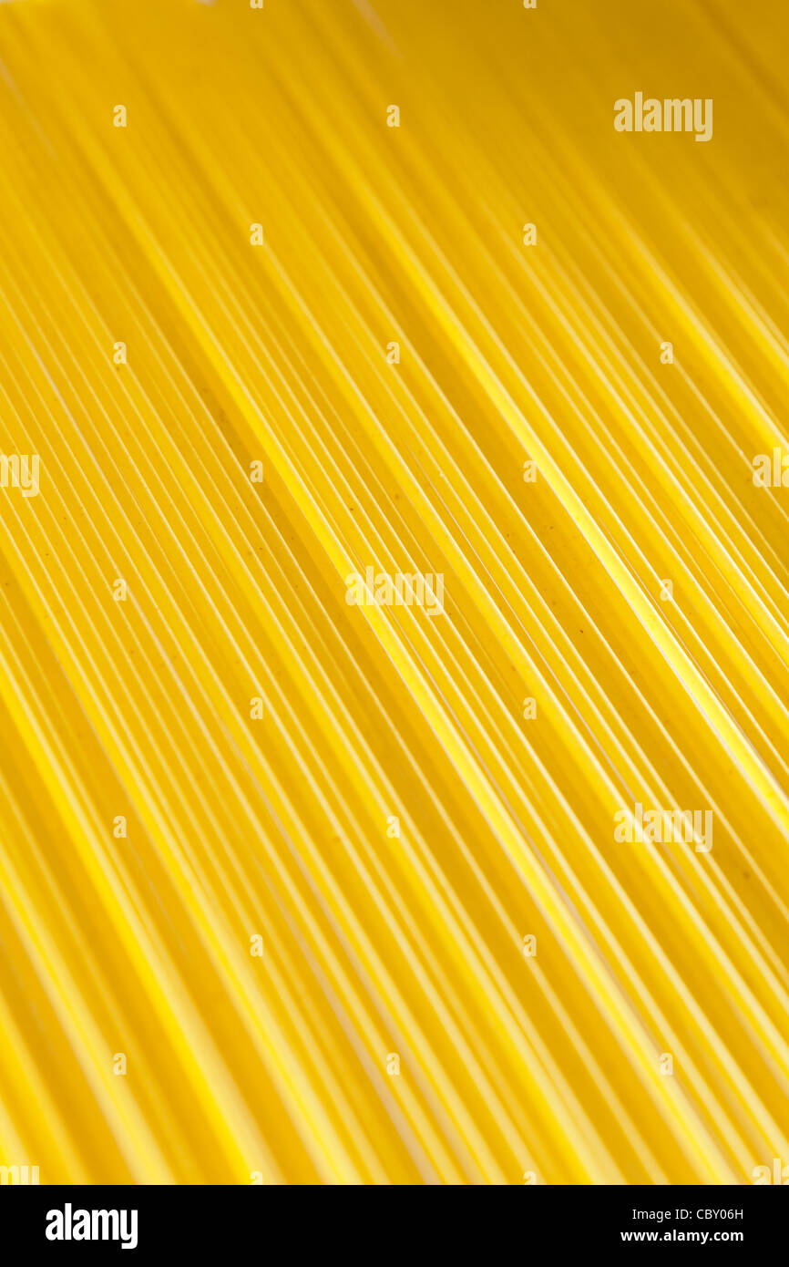ein Close Up von ungekochten Spaghetti Stockfoto