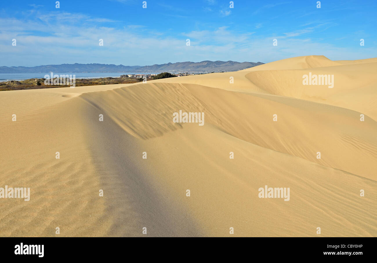 Oceano Dünen Pismo Dünen mit Pismo Beach im Hintergrund Stockfoto