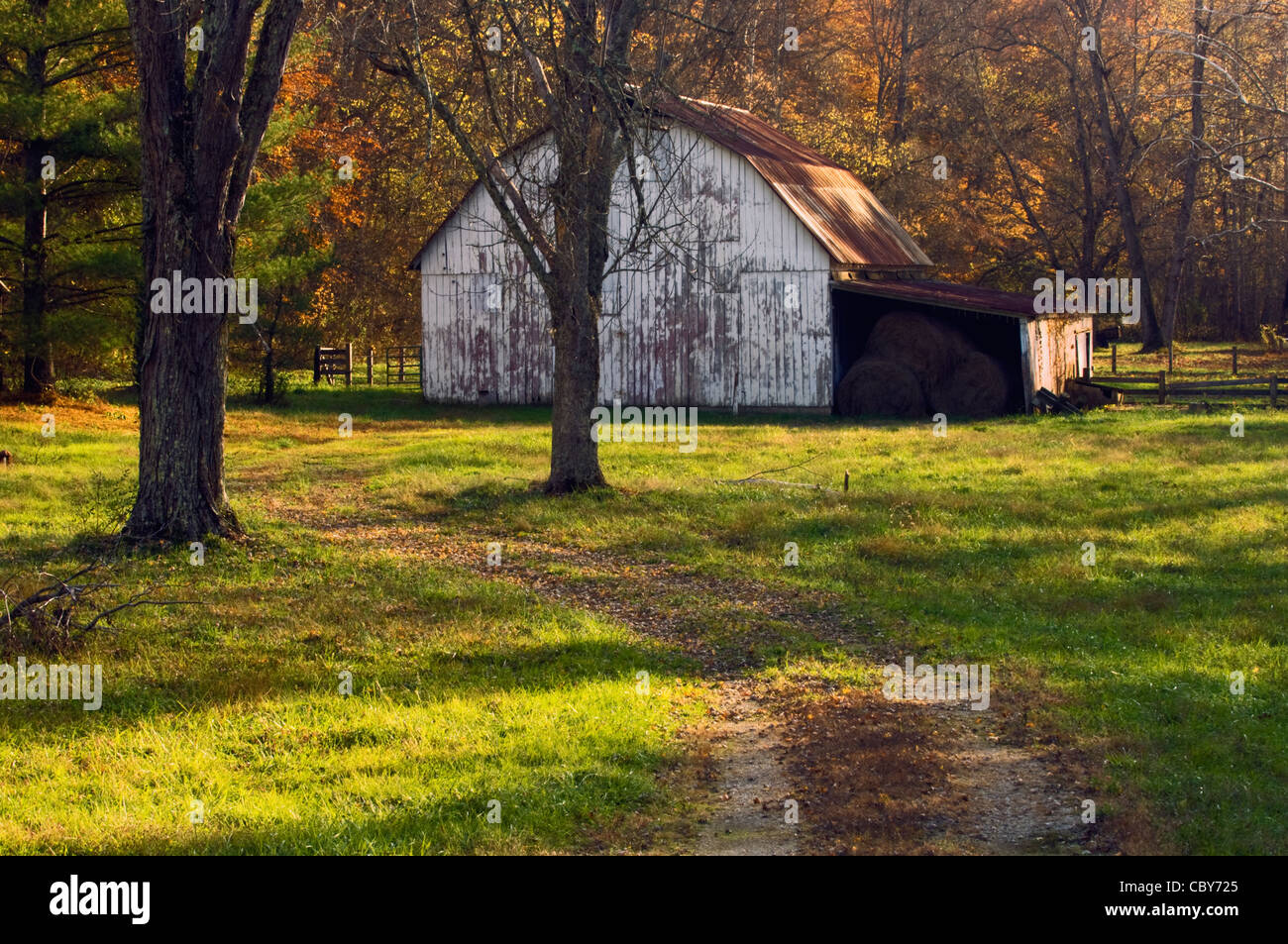 Herbst Farbe und späten Nachmittag Licht im mittleren Westen Scheune im Harrison County, Indiana Stockfoto