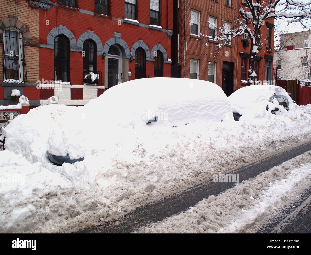 Autos nach einem Schneesturm, Brooklyn, New York unter Schnee begraben Stockfoto