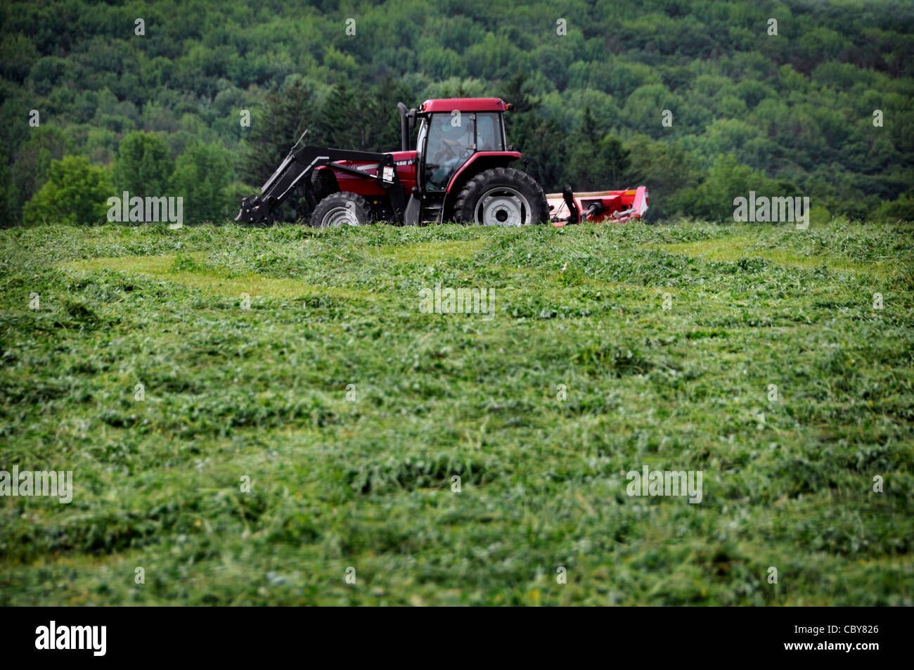 Ein Traktor Rasenmähen auf freiem Feld Stockfoto