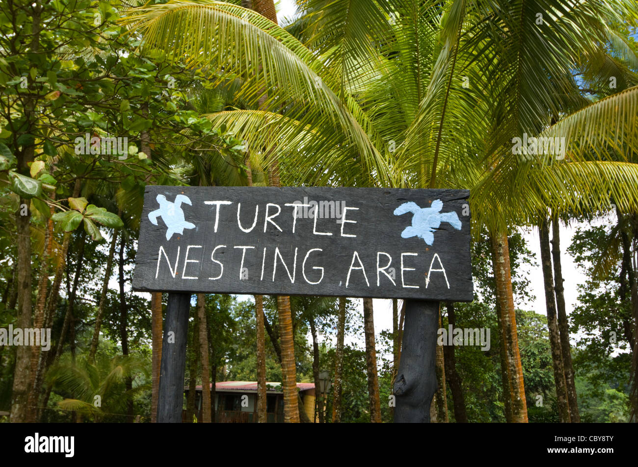 Schild Für Das Nistgebiet Von Schildkröten, Playa Dominical, Costa Rica, Provinz Puntarenas Stockfoto