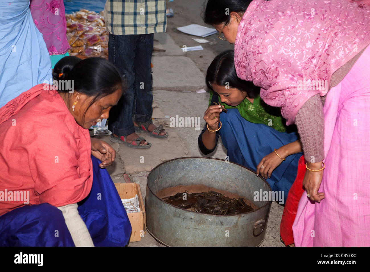 Indien, Manipur, Imphal, Khwairamband Basar, Frau riechen riesige Wasser-Bug, essbare Insekten (gekochte Chutney machen) Stockfoto