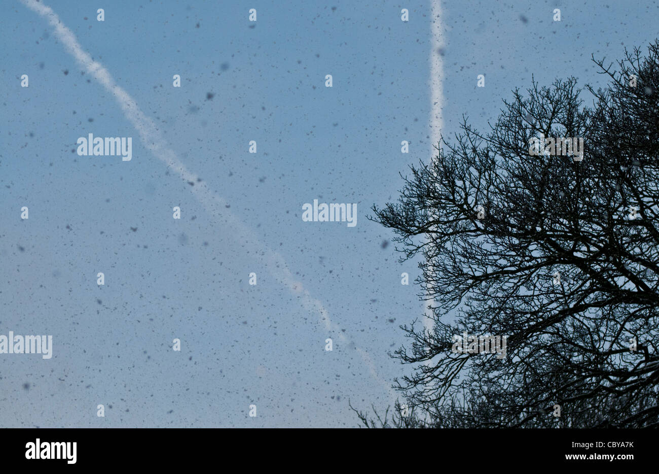 Schnee vor blauem Himmel mit Flugzeug-Kondensstreifen. Querformat mit Exemplar. Stockfoto Schnee vor blauem Himmel mit Flugzeug-Kondensstreifen. Querformat mit Exemplar. Stockfoto