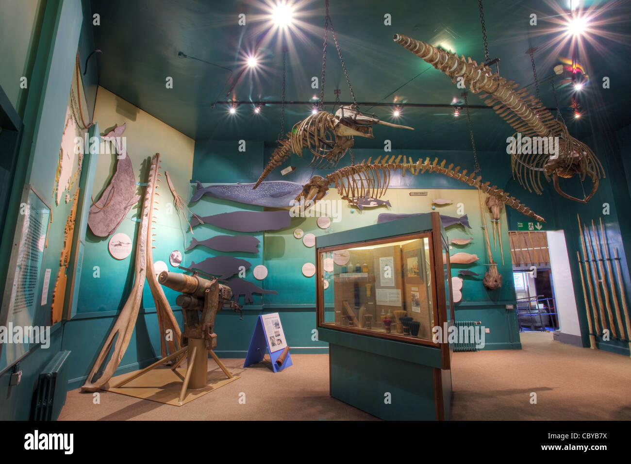 Eine Anzeige über Wale und Walfang-Industrie in das Maritime Museum, Hull, East Yorkshire Stockfoto