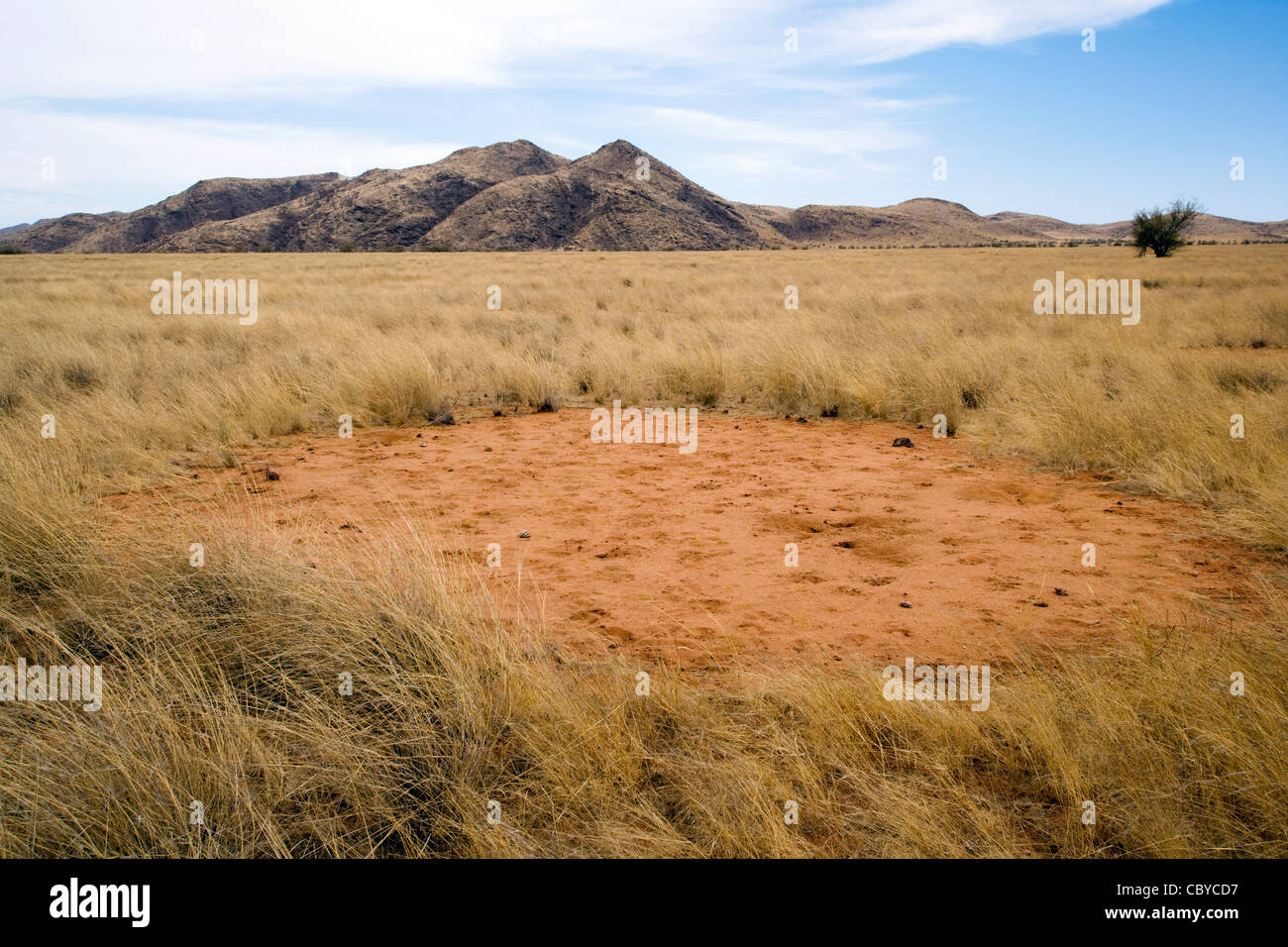 Fee Kreis - in der Nähe von Sesfontein - Kunene-Region, Namibia, Afrika Stockfoto