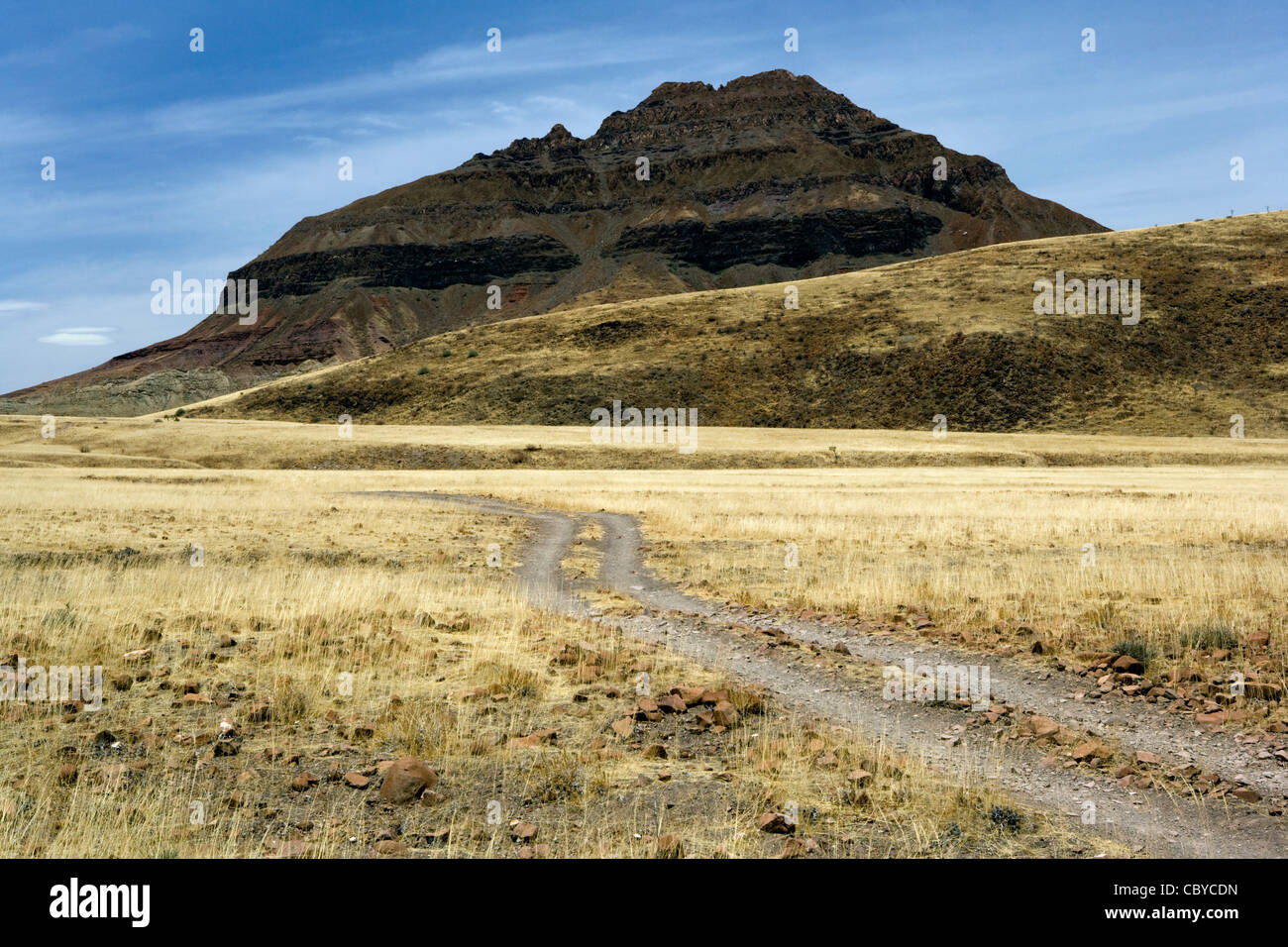 Kaokoland Landschaft - Kunene Region, Namibia, Afrika Stockfoto