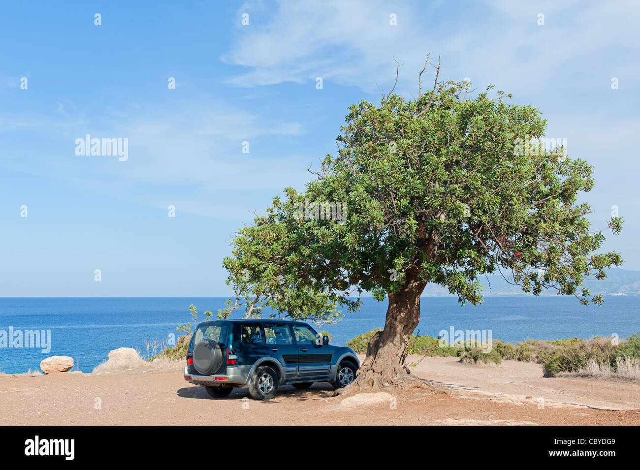 SUV unter Baum am Meer Stockfoto