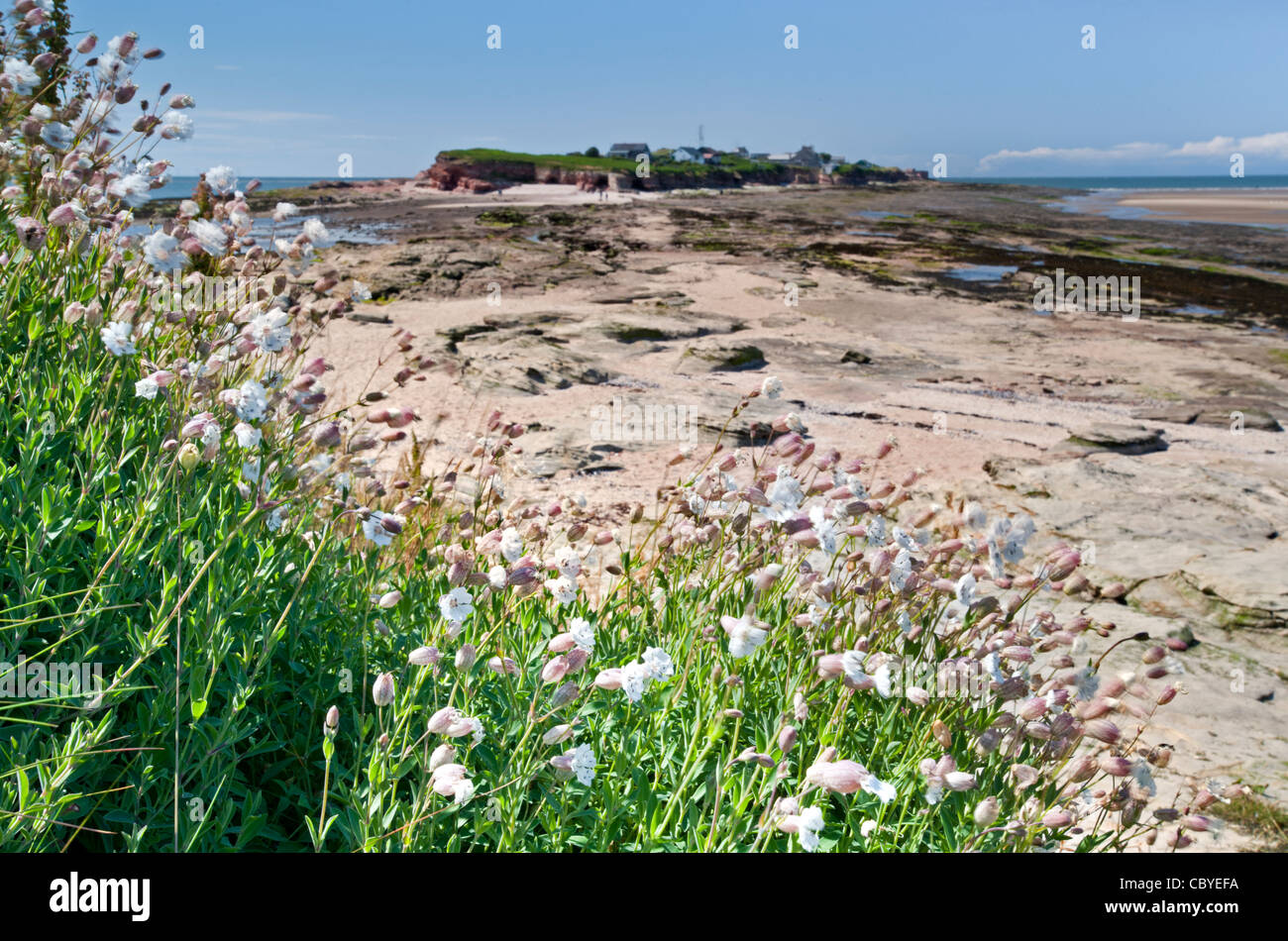 Hilbre Insel, Dee Mündung, Wirral, Merseyside, England, UK Stockfoto