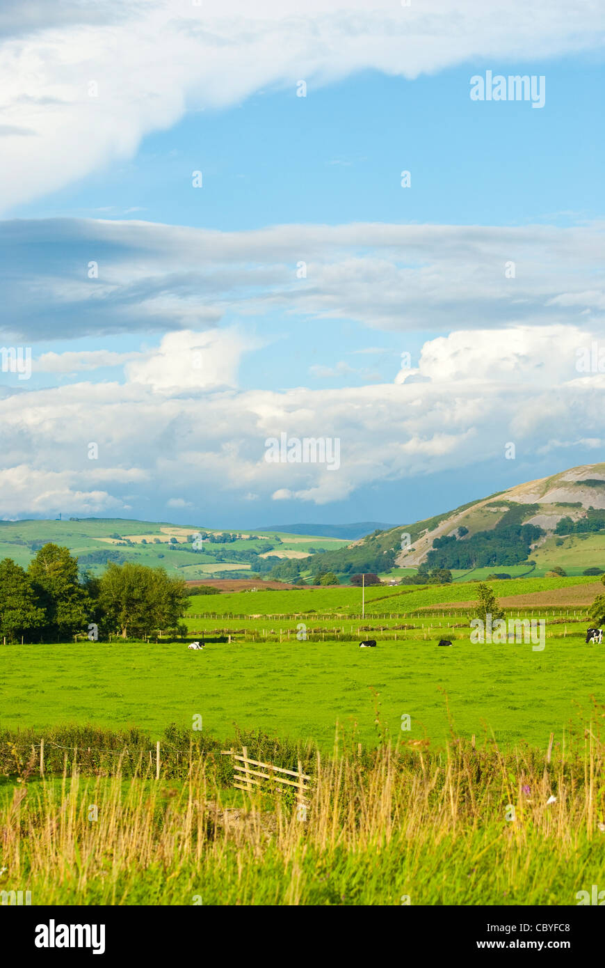 englische Landschaft Stockfoto
