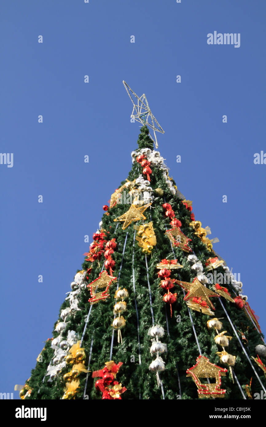 Bethlehem, Weihnachtsbaum in Krippenplatz Stockfoto
