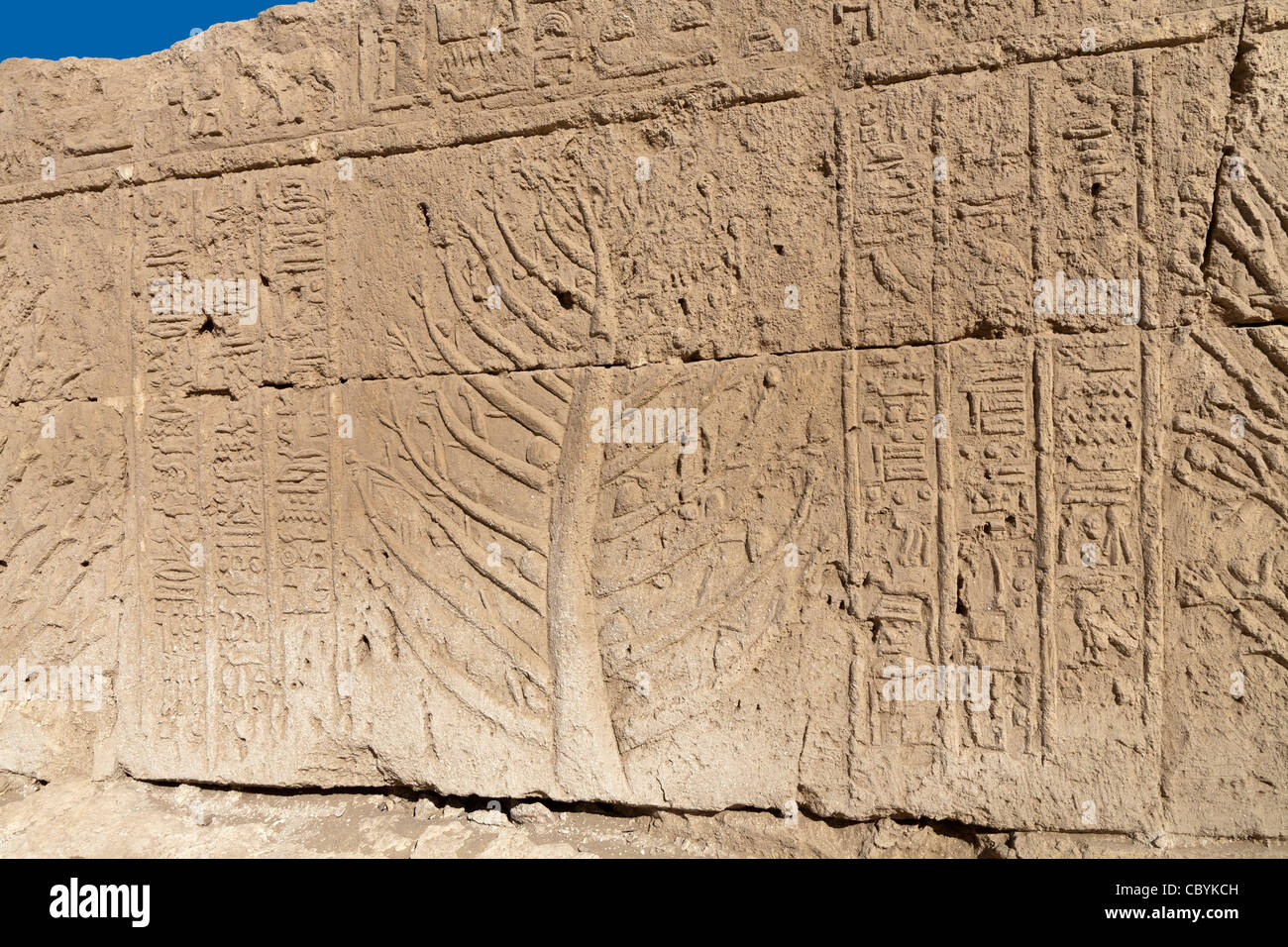 Geschnitzte Baum aus Punt in der ptolemäischen Tempel in Wanina, südwestlich von Achmim in Gouvernement Sohag, Mittelägypten Stockfoto