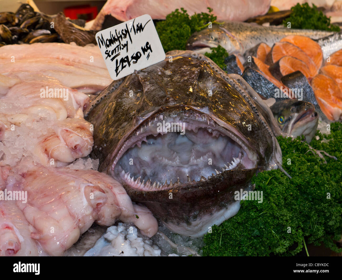 Seeteufel auf dem Display an Fischhändler stall Borough Markt Southwark London UK Stockfoto
