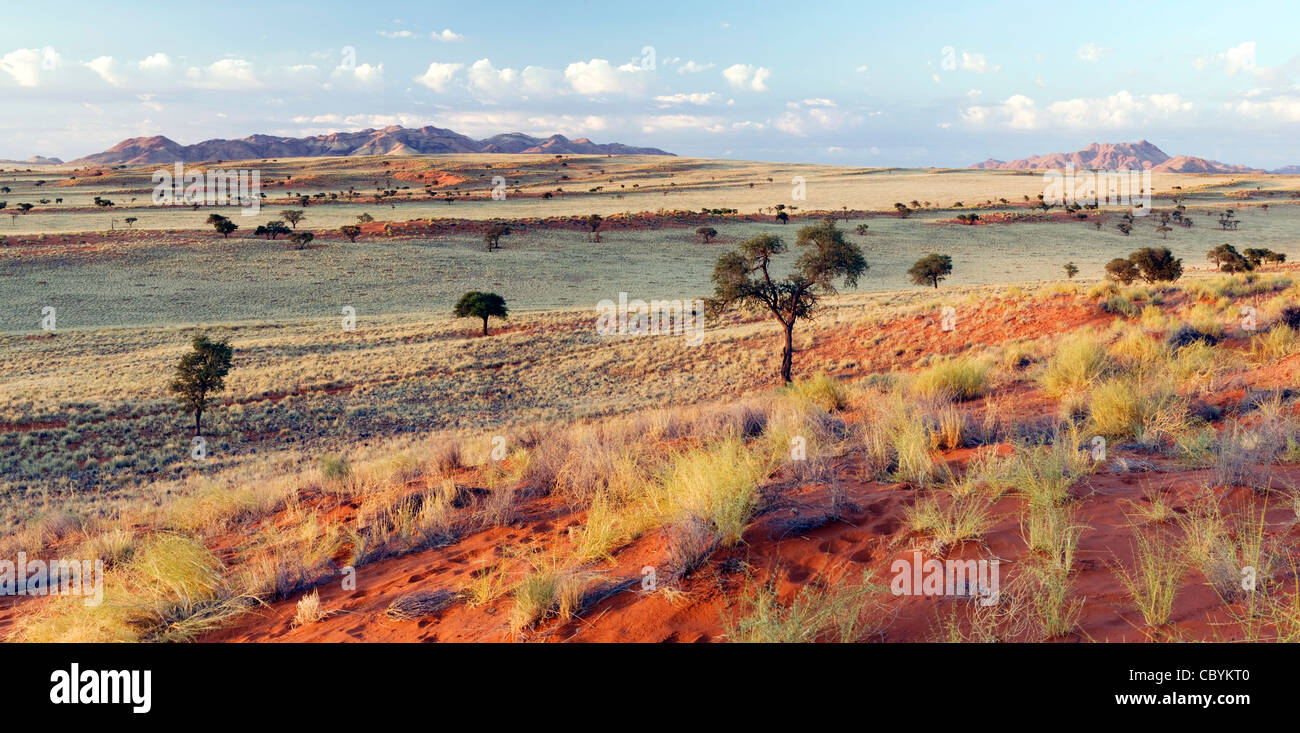 Wolwedans Landschaft zusammengesetzte Panoramabild - NamibRand Nature Reserve - Hardap Region, Namibia, Afrika Stockfoto