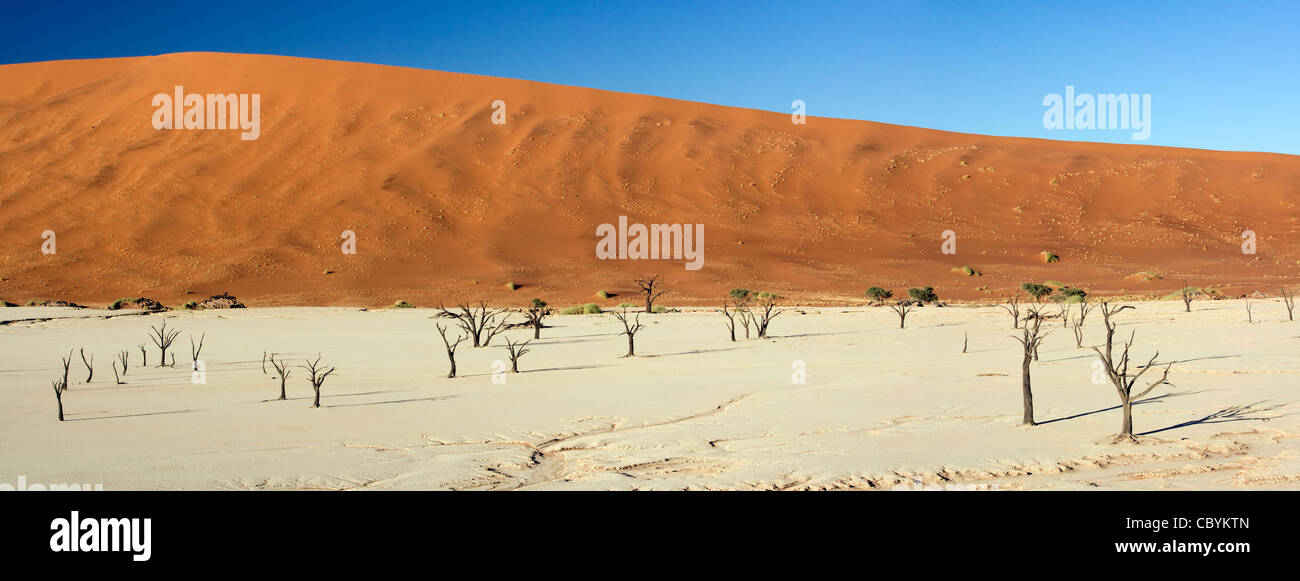 Deadvlei zusammengesetzte Panoramabild - in Sossusvlei Nationalpark - Namib-Naukluft-Nationalpark, Namibia, Afrika Stockfoto