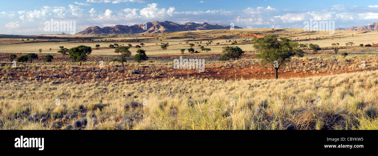 Wolwedans Landschaft zusammengesetzte Panoramabild - NamibRand Nature Reserve - Hardap Region, Namibia, Afrika Stockfoto