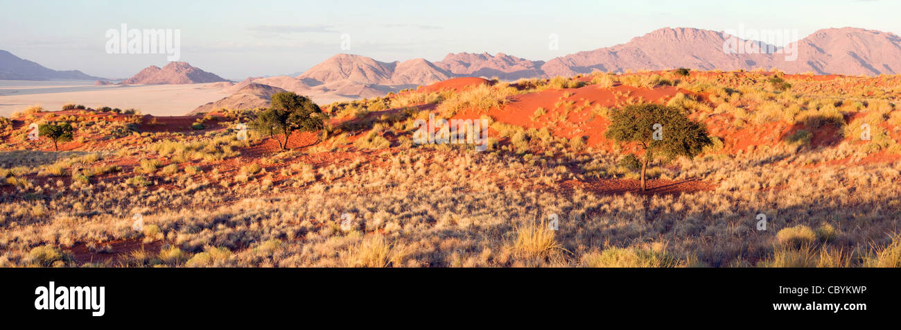 Wolwedans Landschaft zusammengesetzte Panoramabild - NamibRand Nature Reserve - Hardap Region, Namibia, Afrika Stockfoto