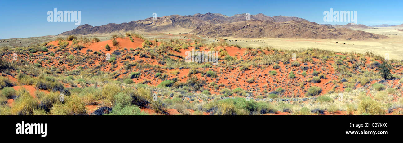 Wolwedans Landschaft zusammengesetzte Panoramabild - NamibRand Nature Reserve - Hardap Region, Namibia, Afrika Stockfoto