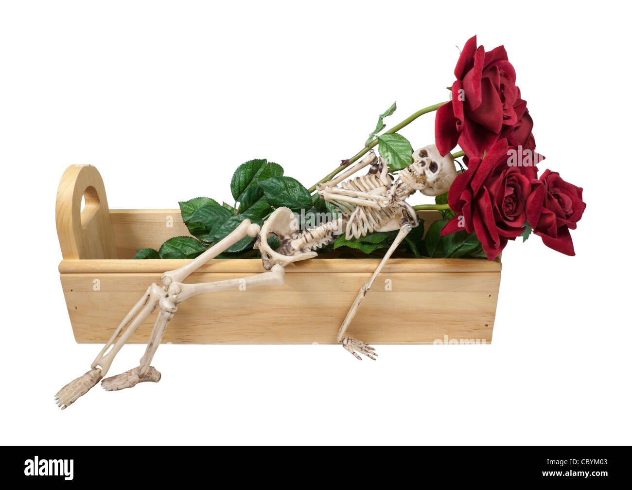 Ein Skelett Verlegung zurück auf rote Rosen in einer Holzkiste Stockfoto