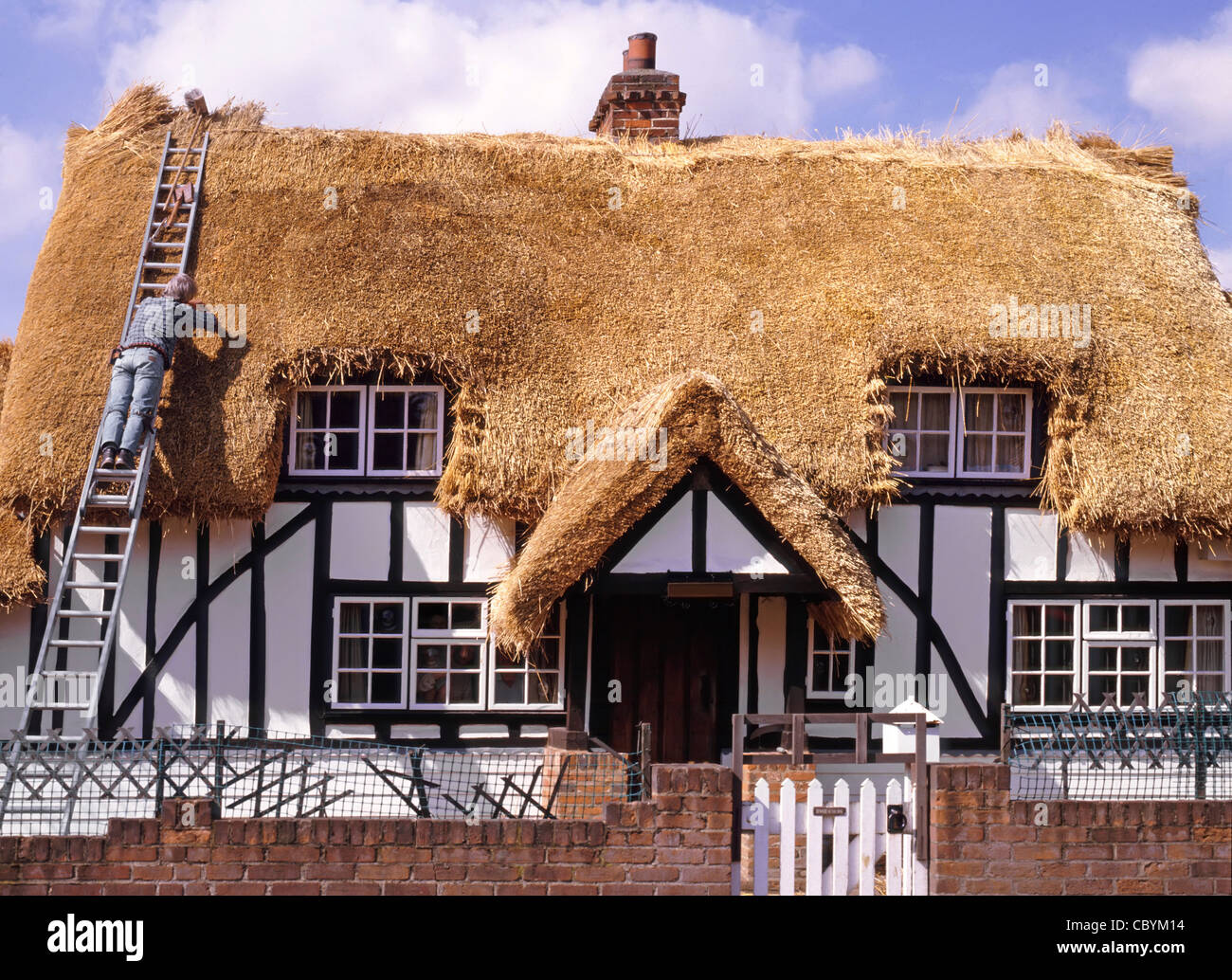Thatcher aus der Arbeit der Leiter in Haus, neues Reetdach auf Fachwerkhaus alten schwarzen und weißen Country Cottage Essex England Großbritannien Stockfoto Thatcher aus der Arbeit der Leiter in Haus, neues Reetdach auf Fachwerkhaus alten schwarzen und weißen Country Cottage Essex England Großbritannien Stockfoto