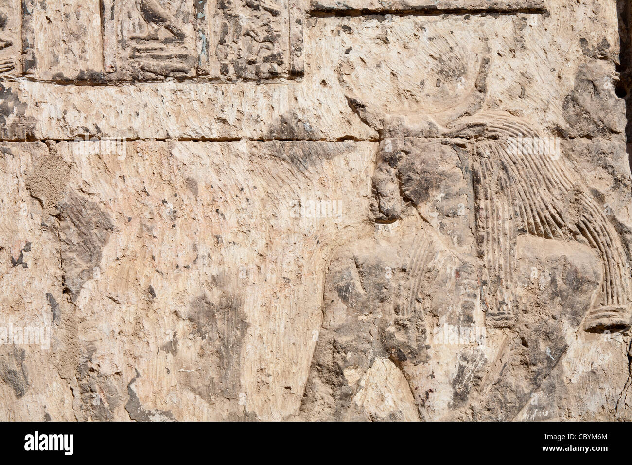 Nahaufnahme von Katastrophenhilfe und Dekoration in der ptolemäischen Tempel in Wanina, in der Nähe von Achmim in Gouvernement Sohag, Mittelägypten Stockfoto