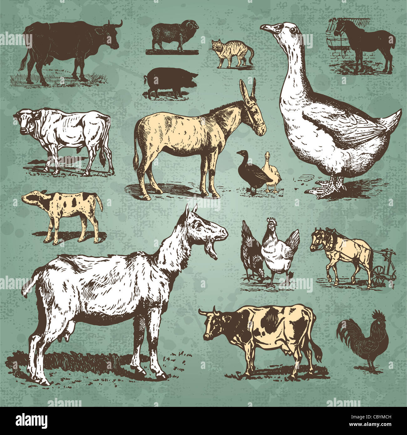 Satz von Nutztieren Zeichnungen. Tier-Ikonen. Vintage-Illustrationen. Stockfoto