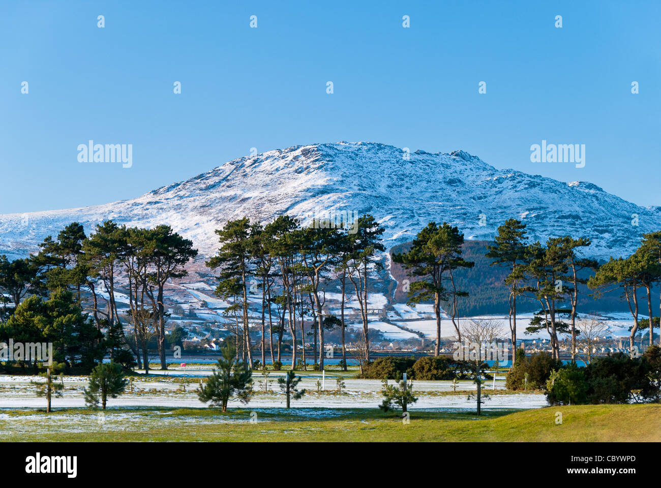 Winter am Carlingford, County Louth. Stockfoto