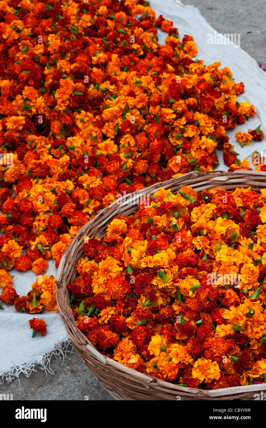 Verkauf von Ringelblume Blumen für die Girlanden auf einer indischen Straße. Puttaparthi, Andhra Pradesh, Indien Stockfoto