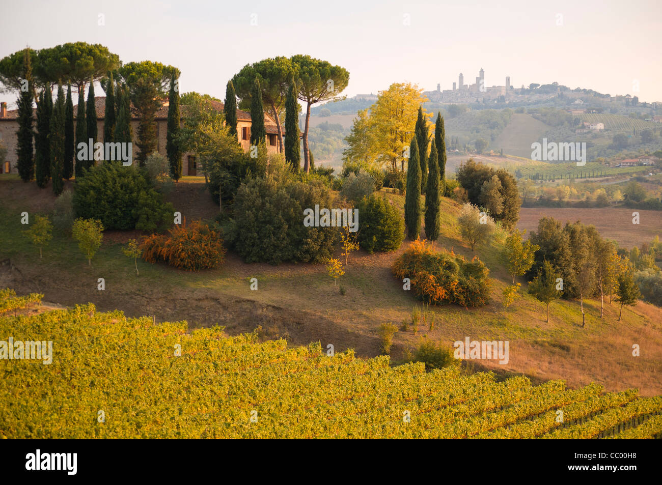 Landschaft mit Weingut und Bauernhof in der Nähe von San Gimignano in der Toskana (Toscana), Italien Stockfoto